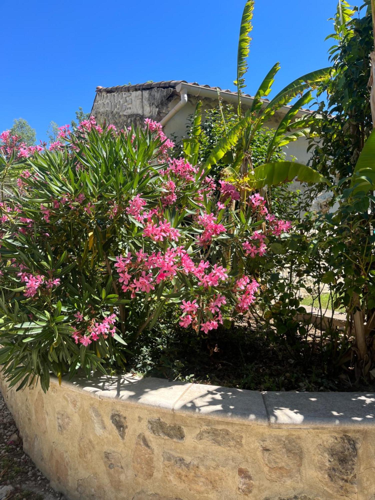 Studio Menthe-Clim-Terrain De Petanque-Piscine Collective Saint-Paul-Trois-Chateaux Luaran gambar